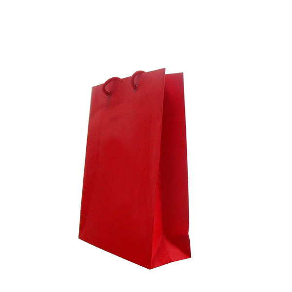 Paper Bag With Rope Handle W20×H27×G8cms, Flat delivered