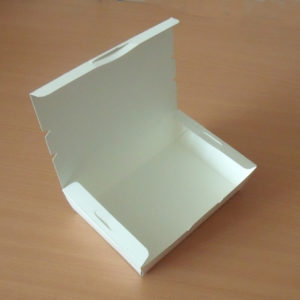 lunch-box-25x19x5 cms