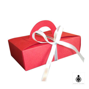 Special Gift Box with Handle