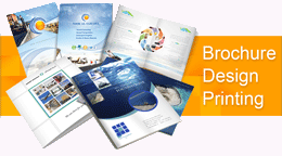 Design For Printing Brochure , Catalogs and POS